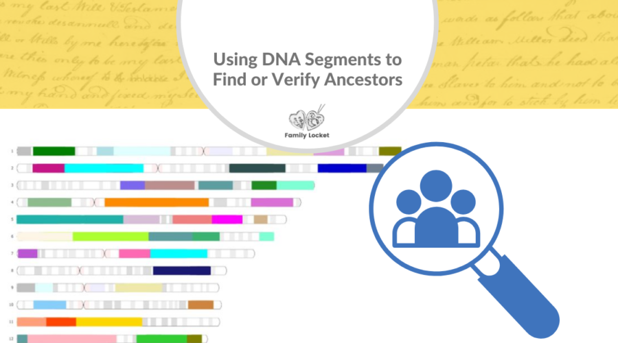 Using DNA Segments to Find or Verify Ancestors