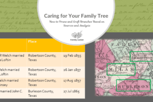 Caring for Your Family Tree: How to Prune and Graft Branches Based on Sources and Analysis