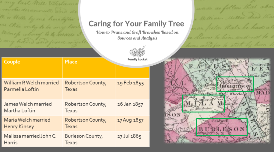 Caring for Your Family Tree: How to Prune and Graft Branches Based on Sources and Analysis