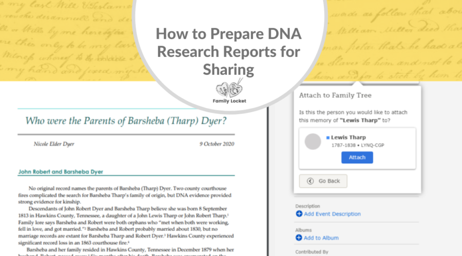 How to Prepare DNA Research Reports for Sharing