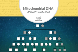 Mitochondrial DNA – A Blast From the Past