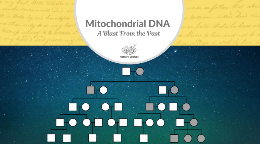 Mitochondrial DNA – A Blast From the Past