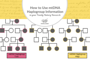 How to Use mtDNA Haplogroup Information in Your Family History Research