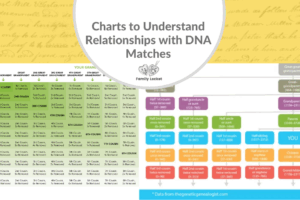 Charts to Understand Relationships with DNA Matches