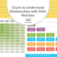 Charts to Understand Relationships with DNA Matches