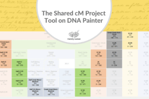 The Shared cM Project Tool on DNA Painter