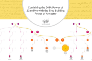 Combining the DNA Power of 23andMe with the Tree Building Power of Ancestry