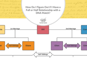 How Do I Figure Out if I Have a Full or Half Relationship with a DNA Match?