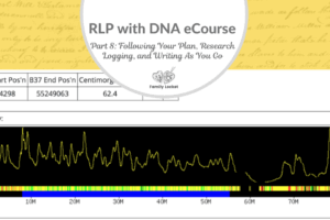 RLP DNA e-course Part 8: Following Your Plan, Research Logging, and Writing As You Go