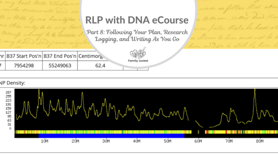 RLP DNA e-course Part 8: Following Your Plan, Research Logging, and Writing As You Go