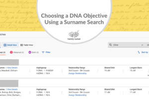 Choosing a DNA Objective Using a Surname Search