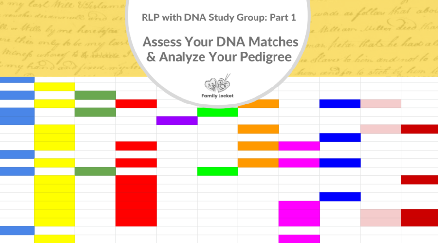 RLP with DNA Study Group: Part 1 Assess Your DNA Matches & Analyze Your Pedigree