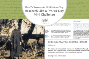 How To Research in 30 Minutes a Day: Research Like a Pro 14-Day Mini Challenge