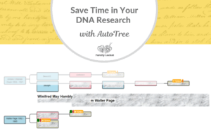 Save Time in Your DNA Research with AutoTree