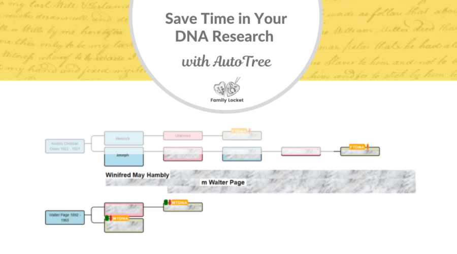 Save Time in Your DNA Research with AutoTree