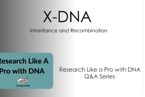 X-DNA Inheritance and Recombination