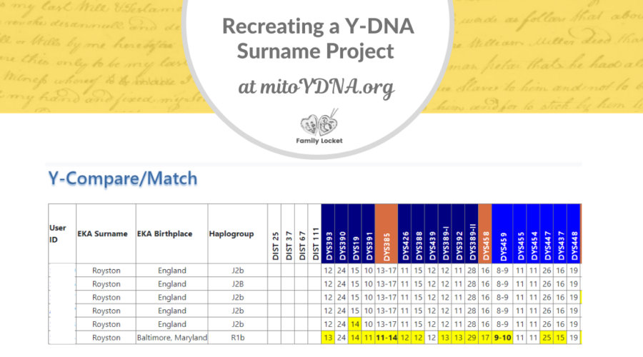 Recreating a Y-DNA Surname Project at mitoYDNA.org