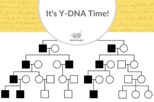 It’s Y-DNA time!