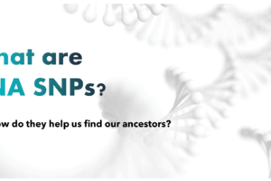 What are DNA SNPs?