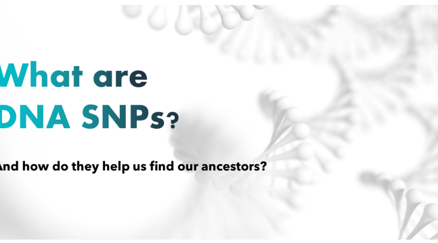 What are DNA SNPs?