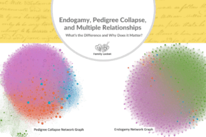 Endogamy, Pedigree Collapse, and Multiple Relationships: What’s the Difference and Why Does it Matter?