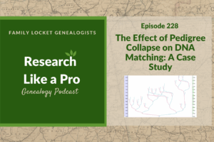 RLP 228: The Effect of Pedigree Collapse on DNA Matching: A Case Study