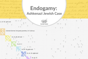 Endogamy: Ashkenazi Jewish Case