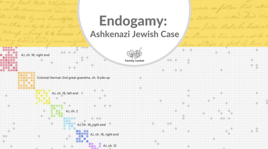 Endogamy: Ashkenazi Jewish Case
