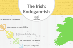 The Irish: Endogam-ish