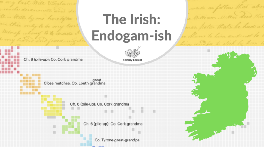 The Irish: Endogam-ish
