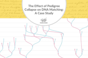 The Effect of Pedigree Collapse on DNA Matching: A Case Study
