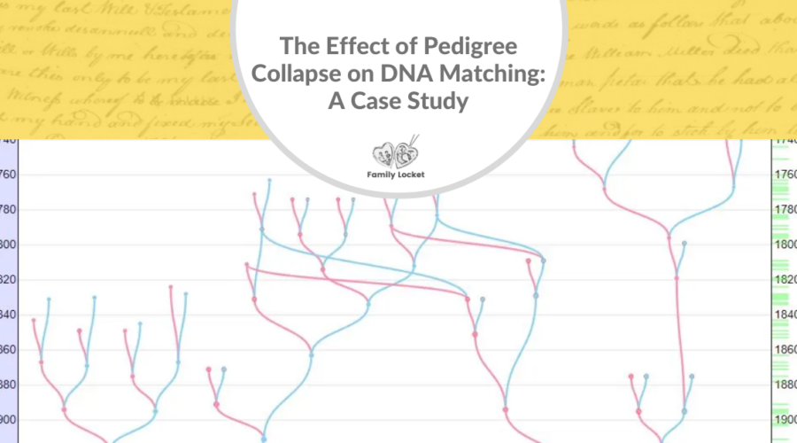 The Effect of Pedigree Collapse on DNA Matching: A Case Study