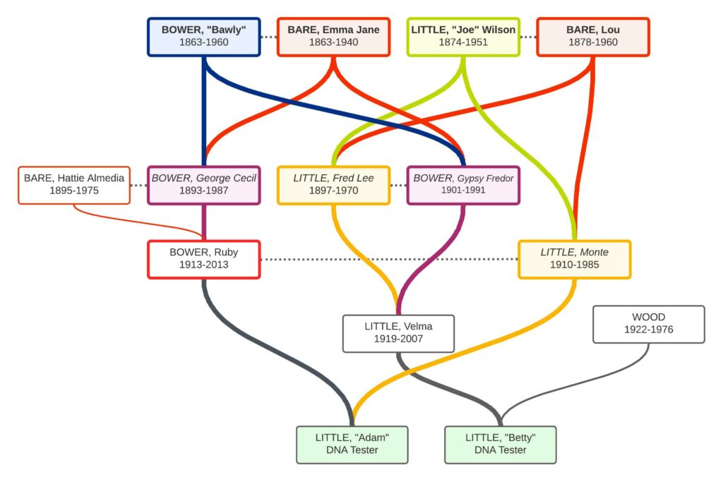 relationship chart depicting several instances of pedigree collapse shared between two cousins