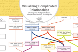 Visualizing Complicated Relationships: Working with Pedigree Collapse, Multiple Relationships, and Endogamy