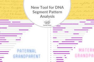 New Tool for DNA Segment Pattern Analysis