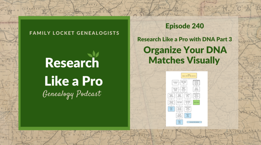 RLP 240: RLP with DNA 3 – Organize Your DNA Matches Visually