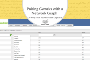 How Pairing Gworks with a Network Graph can Help Solve Your Research Objective