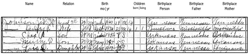 a snip of the Johnson household in the 1900 census