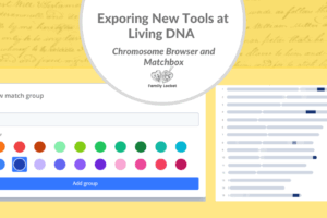 Exploring New Tools at Living DNA: Chromosome Browser and Matchbox