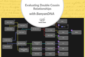 Evaluating Double Cousin Relationships with Banyan DNA