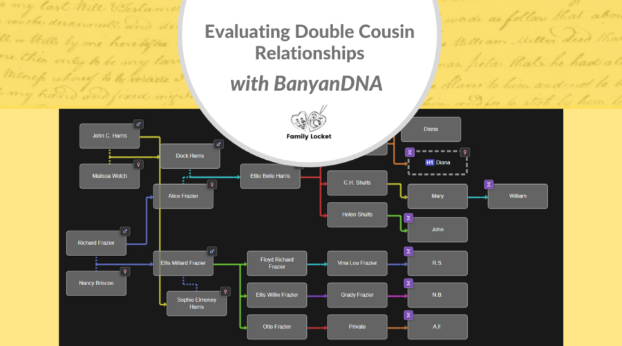 Evaluating Double Cousin Relationships with Banyan DNA