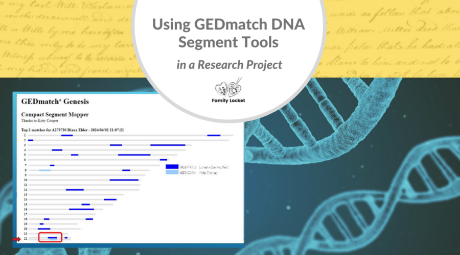 Using GEDmatch DNA Segment Tools in a Research Project