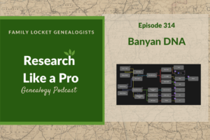 RLP 314: Banyan DNA