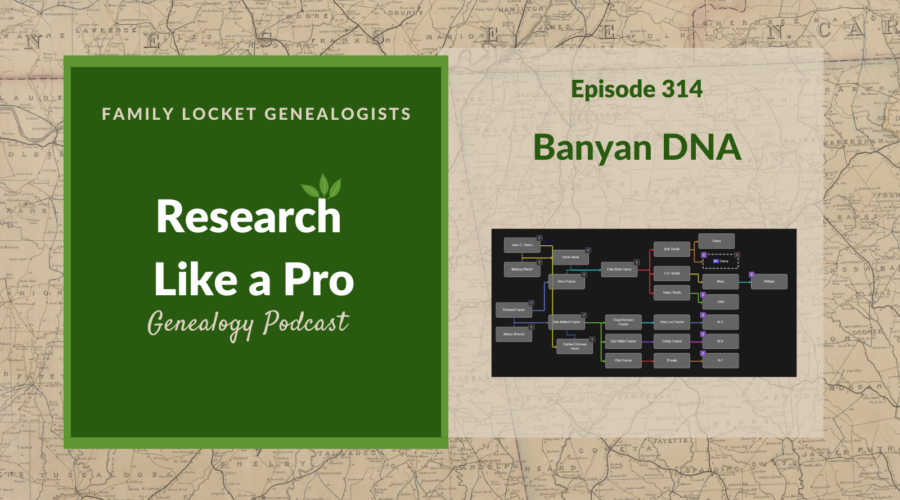 RLP 314: Banyan DNA