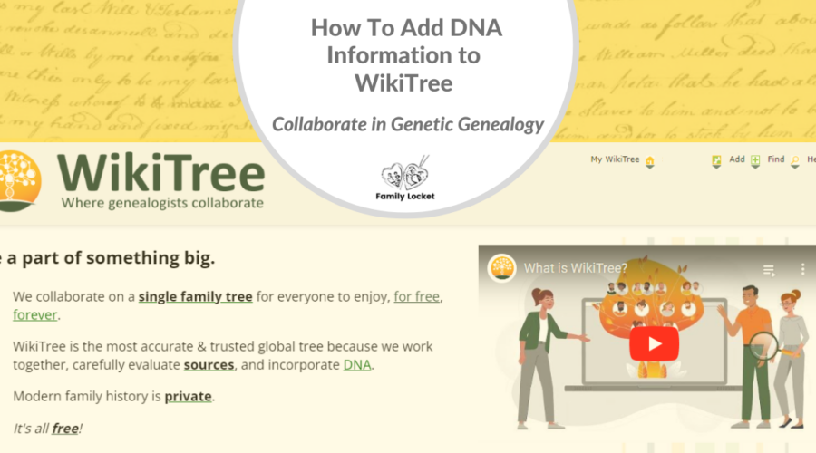 How To Add DNA Information to WikiTree
