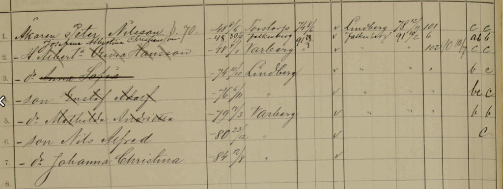 Household excamination record showing Mathilda left for America in 1894