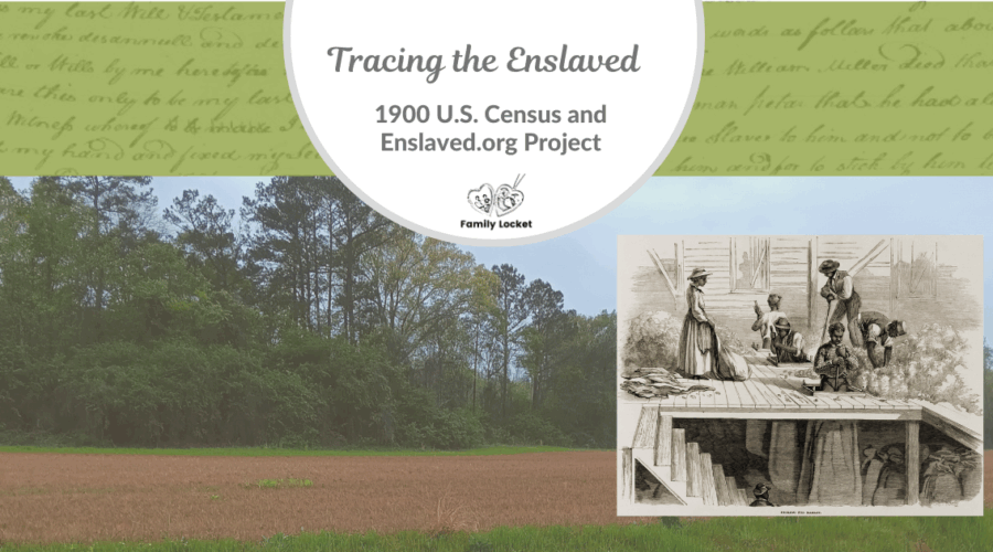 Tracing the Enslaved in the 1900 U.S. Census and Enslaved.org Project