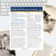 Airtable Research Logs for Genealogy – Quick Reference, 3rd Edition