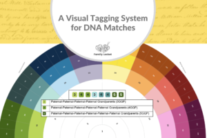 A Visual Tagging System for DNA Matches