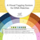 A Visual Tagging System for DNA Matches